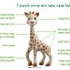⁦נשכן - סופי הג'ירפה⁩ – תמונה ⁦5⁩