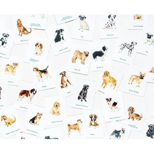 Dogs & puppies - Memory Game – תמונה 2