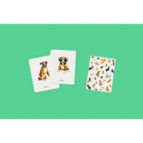 Dogs & puppies - Memory Game – תמונה 3