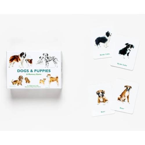 Dogs & puppies - Memory Game – תמונה 5