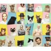 ⁦משחק זכרון Do You Look Like Your Cat?⁩ – תמונה ⁦3⁩