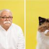 ⁦משחק זכרון Do You Look Like Your Cat?⁩ – תמונה ⁦4⁩