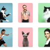 ⁦משחק זכרון Do You Look Like Your Cat?⁩ – תמונה ⁦5⁩