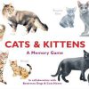 Cats & Kittens - Memory game