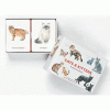 ⁦Cats & Kittens - Memory game⁩ – תמונה ⁦3⁩
