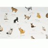 ⁦Cats & Kittens - Memory game⁩ – תמונה ⁦2⁩