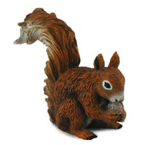 סנאי אדום CollectA