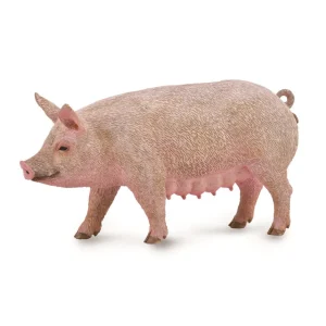 חזירה CollectA