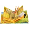 ⁦ספר תלת מימד פופ אפ - חיות Usborne⁩ – תמונה ⁦4⁩