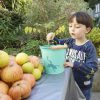 ⁦סט דלי, מגרפה ואת חפירה ממתכת Egmont⁩ – תמונה ⁦2⁩