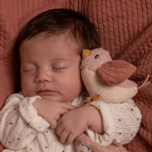 Cuddle Cloth - flowers & butterflies - Little Dutch – תמונה 3