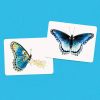 ⁦משחק התאמה - כנפי פרפרים⁩ – תמונה ⁦4⁩