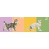 ⁦משחק התאמה - Heads & Tails - חתולים⁩ – תמונה ⁦3⁩