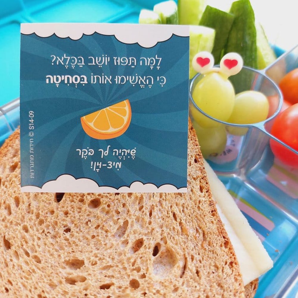 ⁦חידות מתגרדות - בדיחידות לגילאי 9+⁩ – תמונה ⁦5⁩
