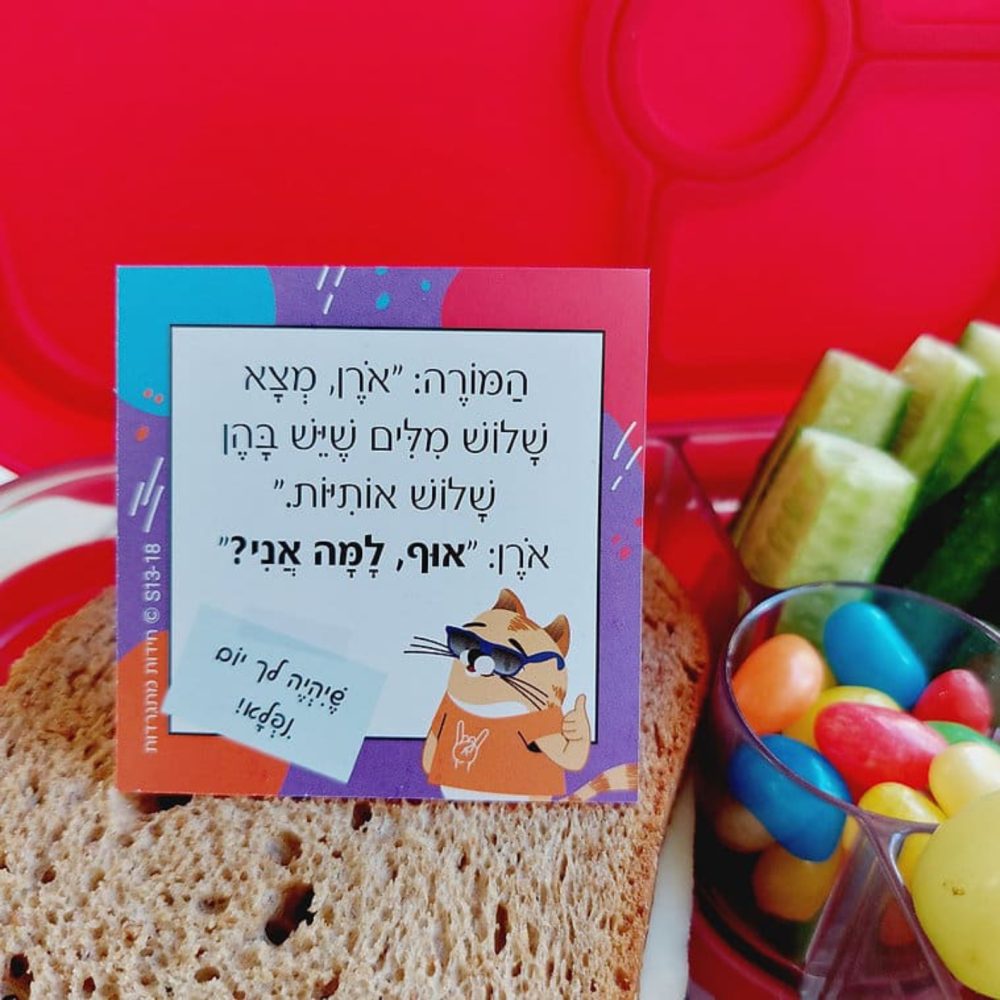 ⁦חידות מתגרדות - בדיחידות לגילאי 9+⁩ – תמונה ⁦2⁩
