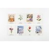 ⁦משחק זכרון - Pick A Flower⁩ – תמונה ⁦3⁩