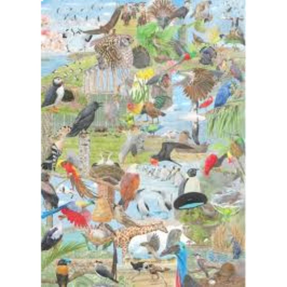 ⁦פאזל 100 חלקים - Around the World - 50 Birds⁩ – תמונה ⁦4⁩