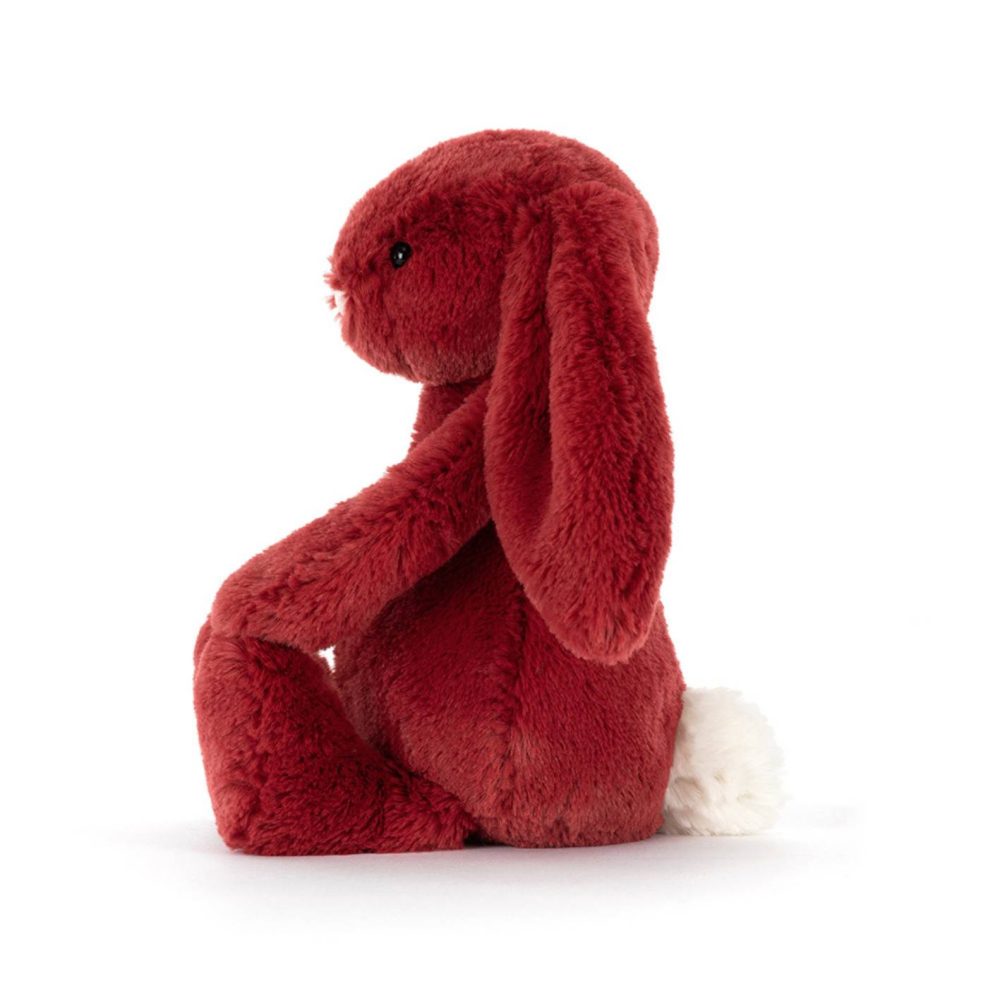 ⁦ארנב - Bashful Redcurrant - Jellycat⁩ – תמונה ⁦3⁩