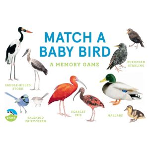 משחק זכרון - Baby Bird