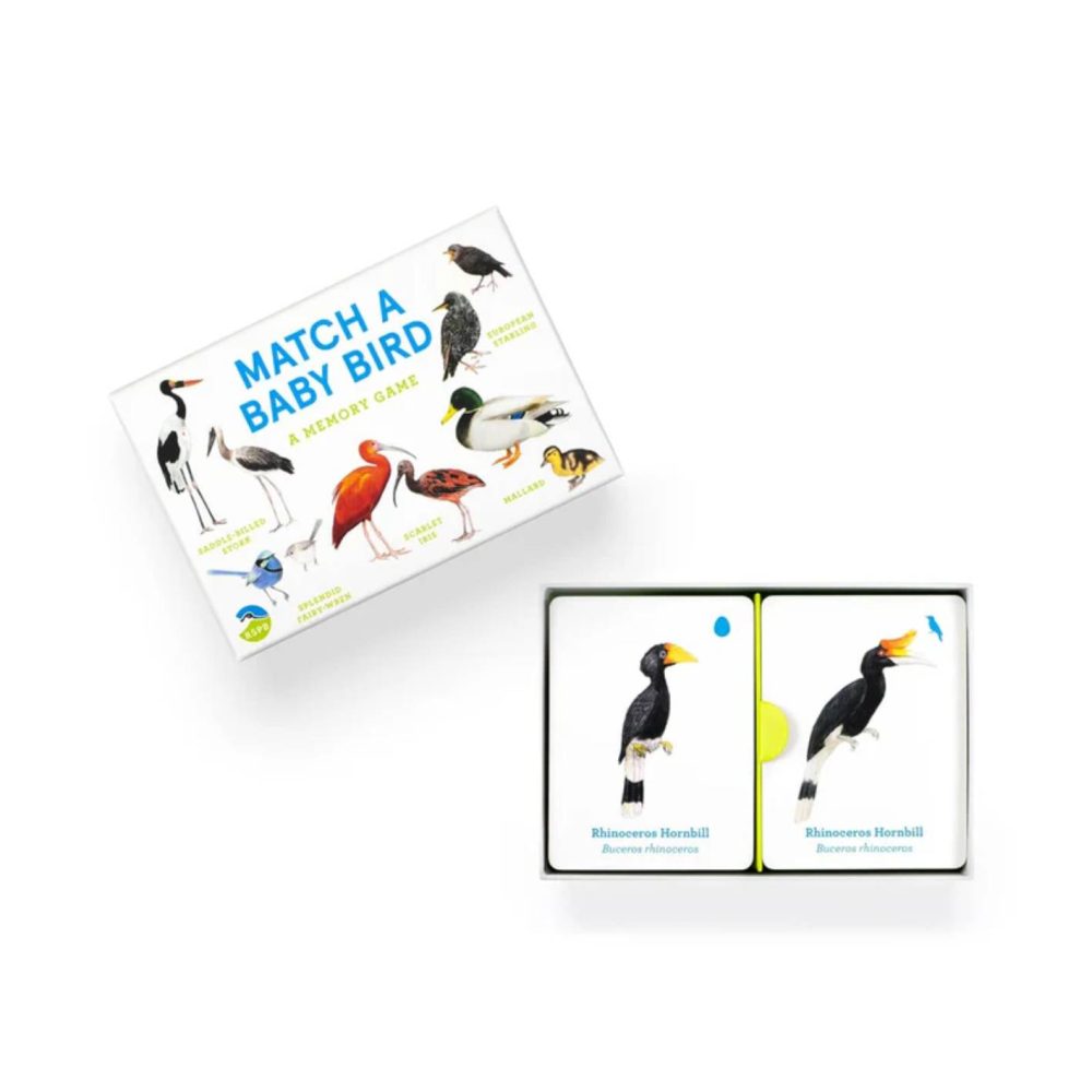 ⁦משחק זכרון - Baby Bird⁩ – תמונה ⁦3⁩