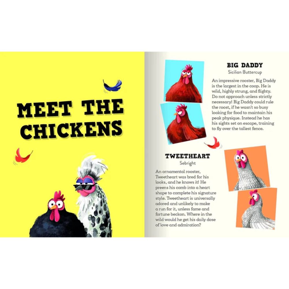 ⁦משחק קלפים - WHO FLEW THE COOP?⁩ – תמונה ⁦3⁩