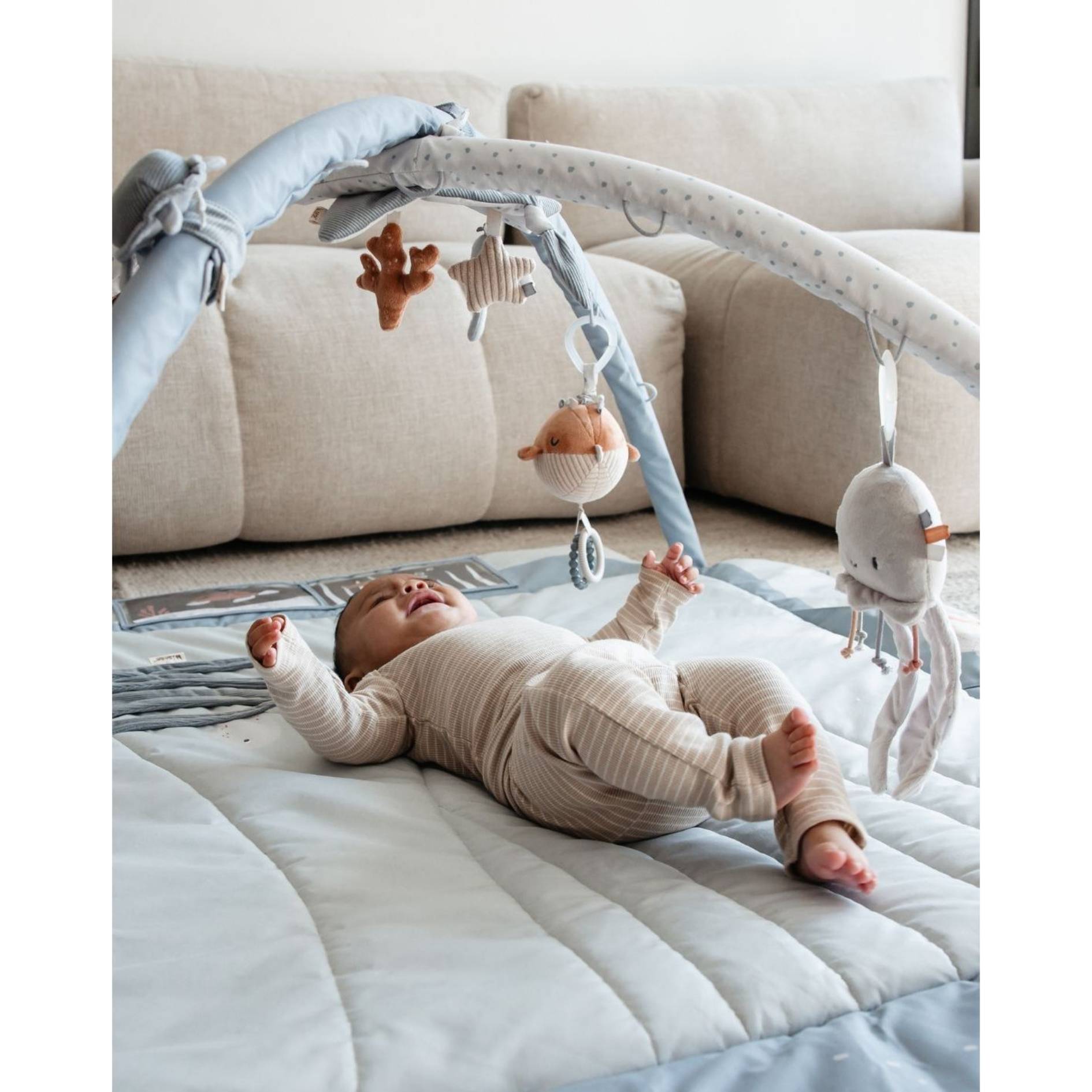 אוניברסיטה לתינוק - ים - כחול - מיננה – תמונה 4