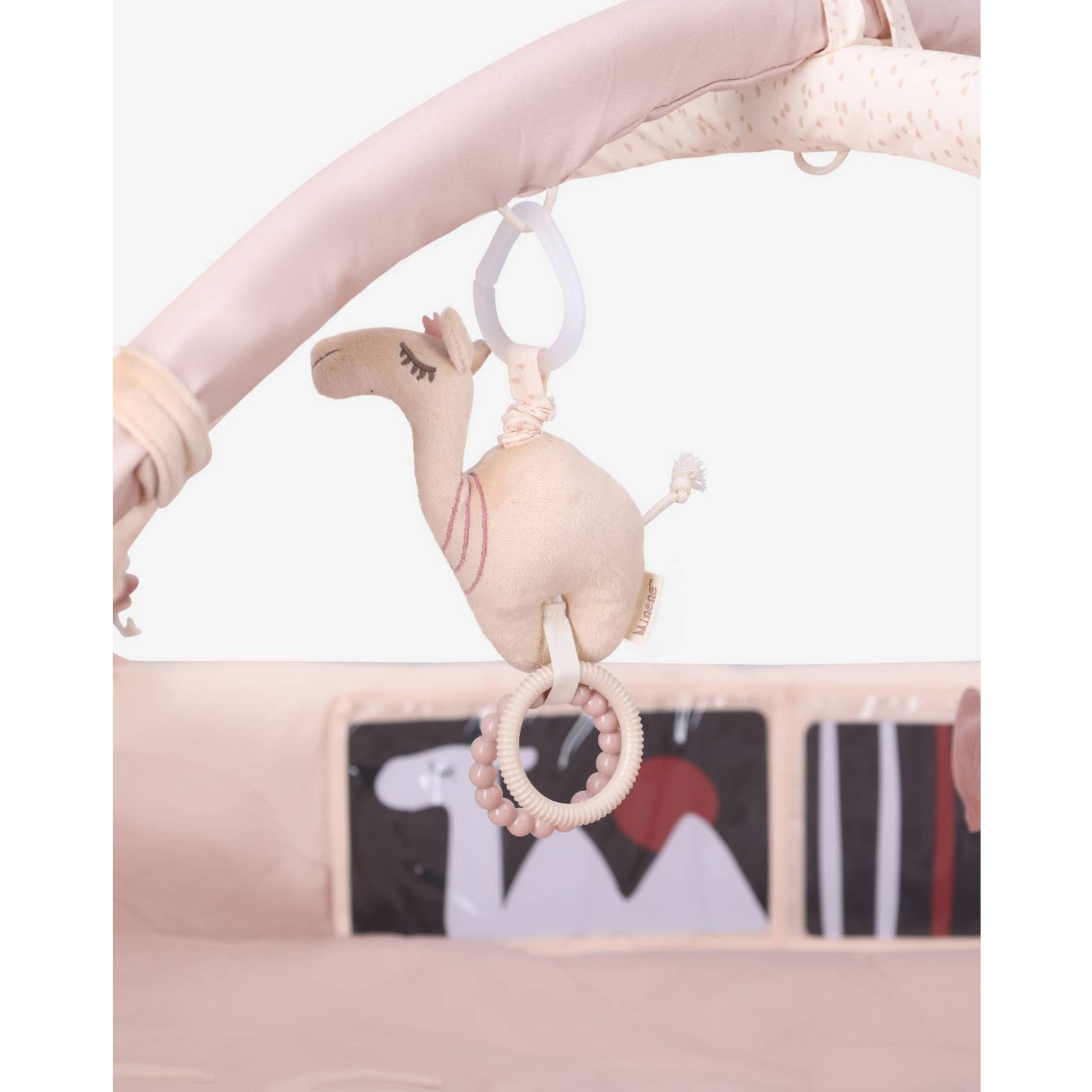 אוניברסיטה לתינוק - ורוד - מדבר - מיננה – תמונה 10