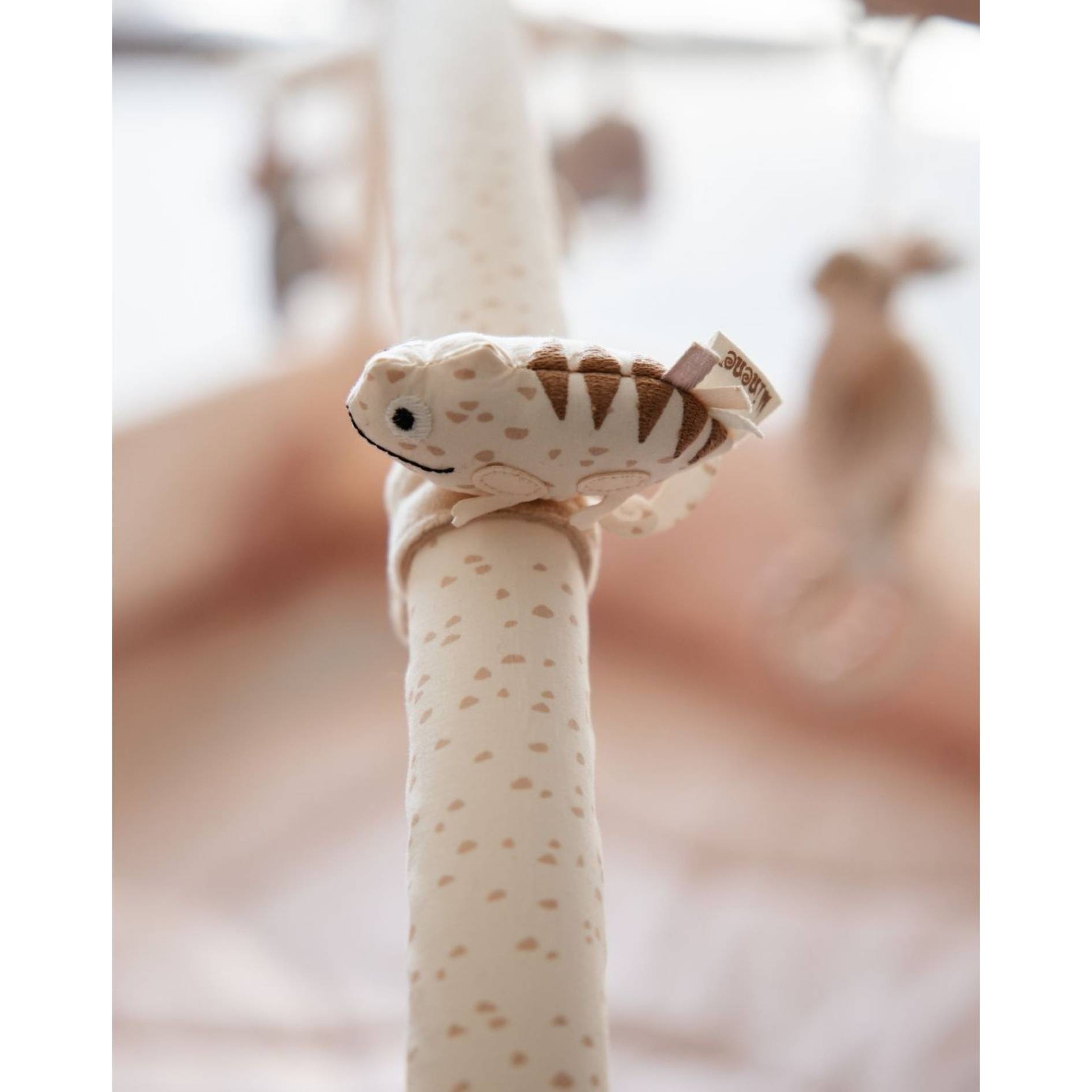 אוניברסיטה לתינוק - ורוד - מדבר - מיננה – תמונה 12