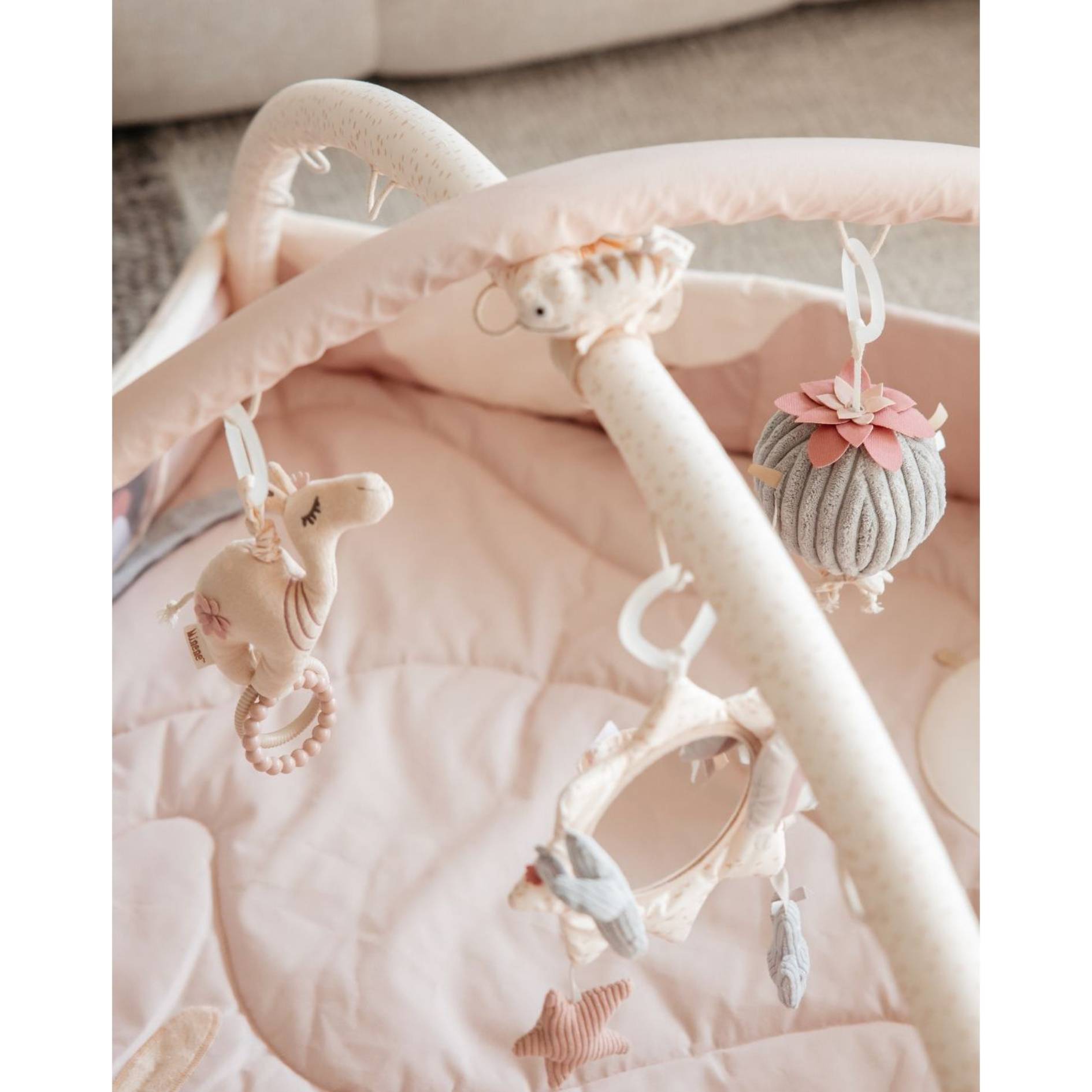 אוניברסיטה לתינוק - ורוד - מדבר - מיננה – תמונה 4