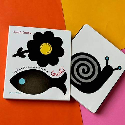 ספר קונצרטינה שחור לבן Post Wave – תמונה 2