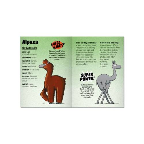 משחק קלפים - Animals in the NUDE – תמונה 5