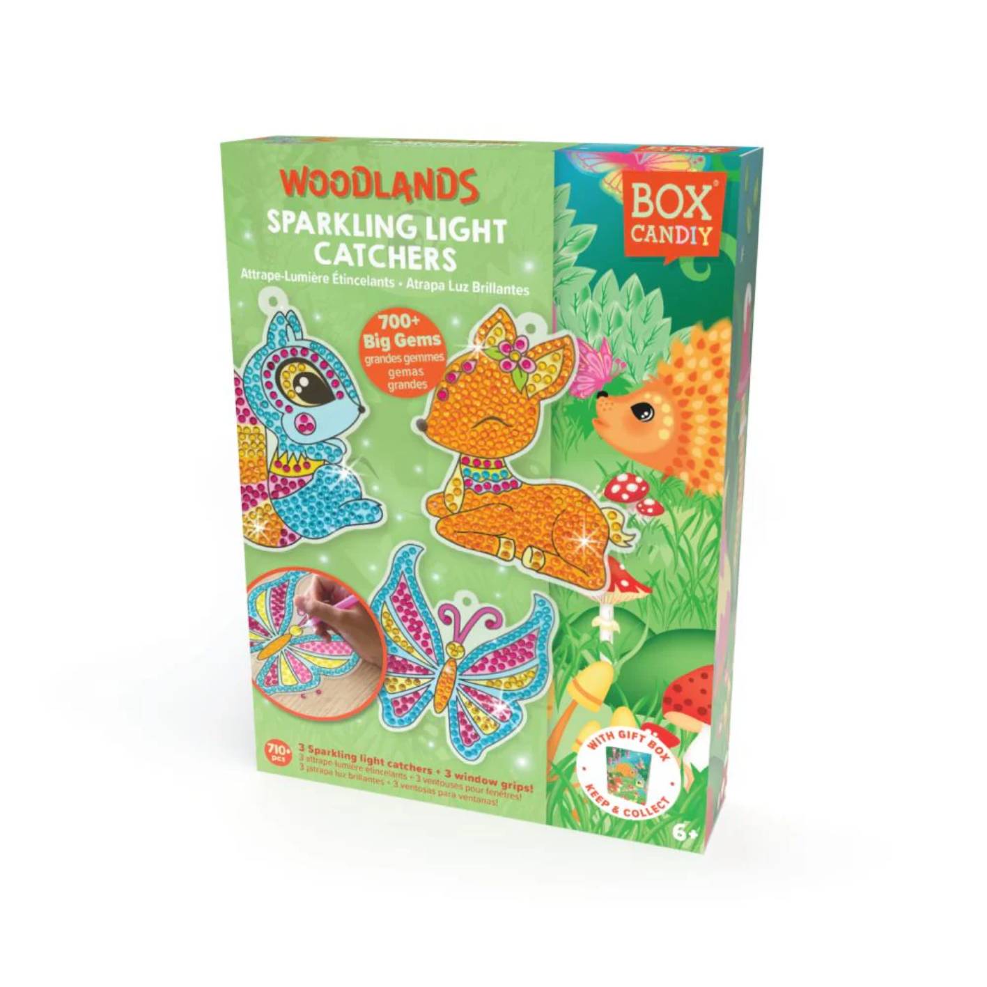 ערכה להכנת לוכדי אור Box CanDIY