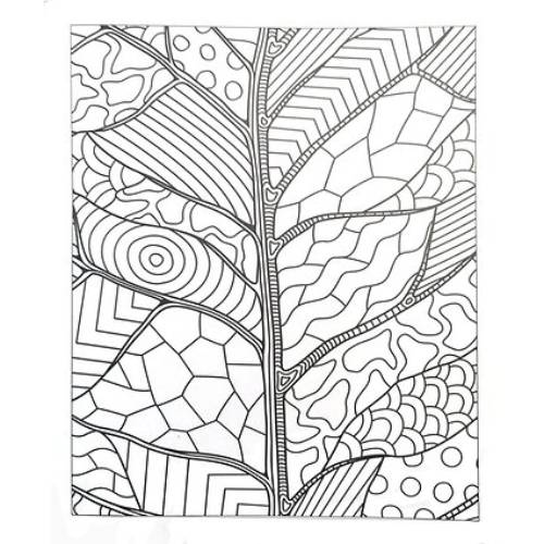 חוברת צביעה רגועה – תמונה 3