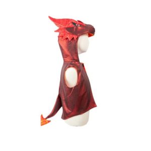 תחפושת ליום יום 5/6 - דרקון (אפודה) Great Pretenders