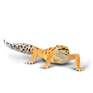 שממית מנומרת CollectA