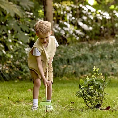 מגרפת דשא Hape – תמונה 3