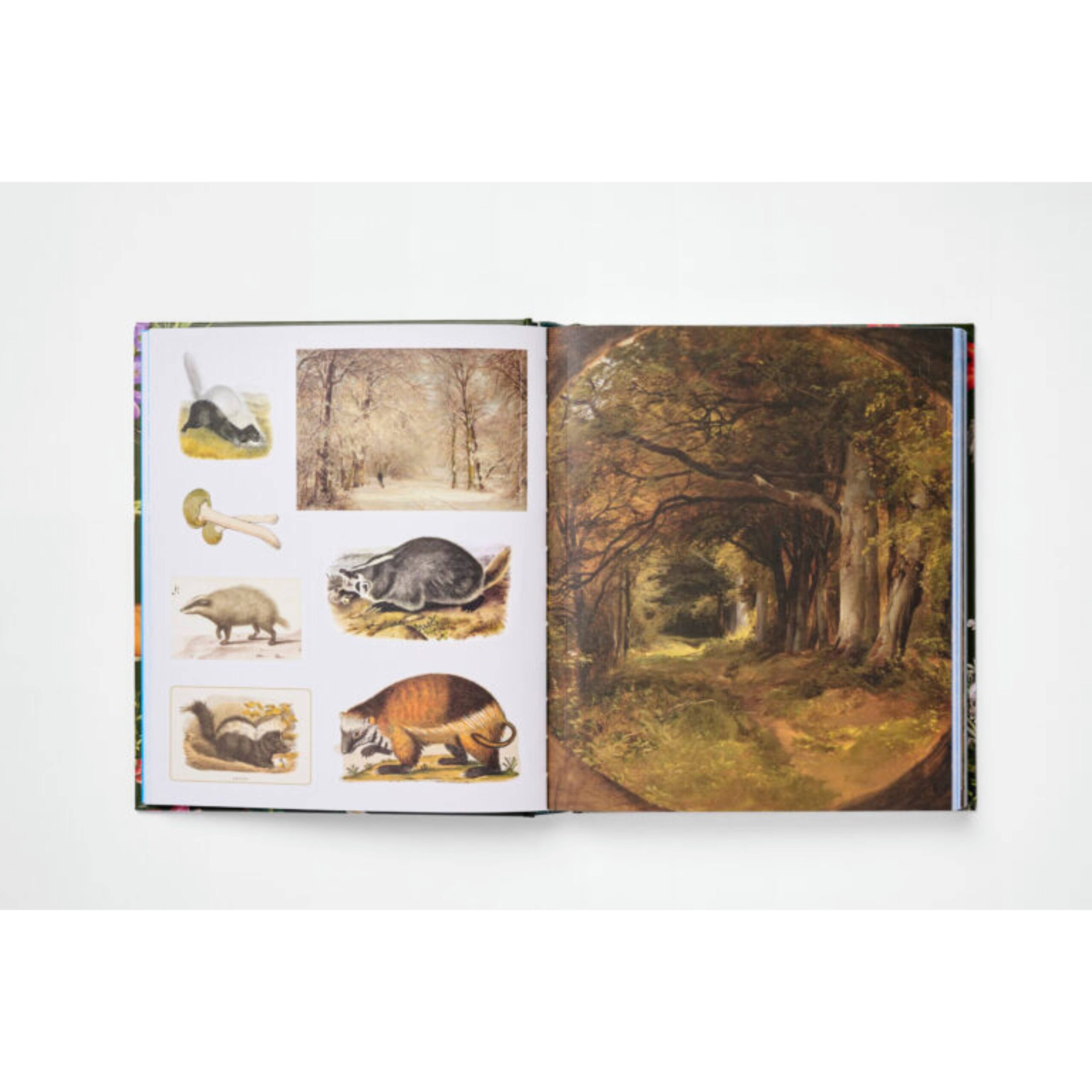 The Sticker Treasury of Woodland Adventures – תמונה 3