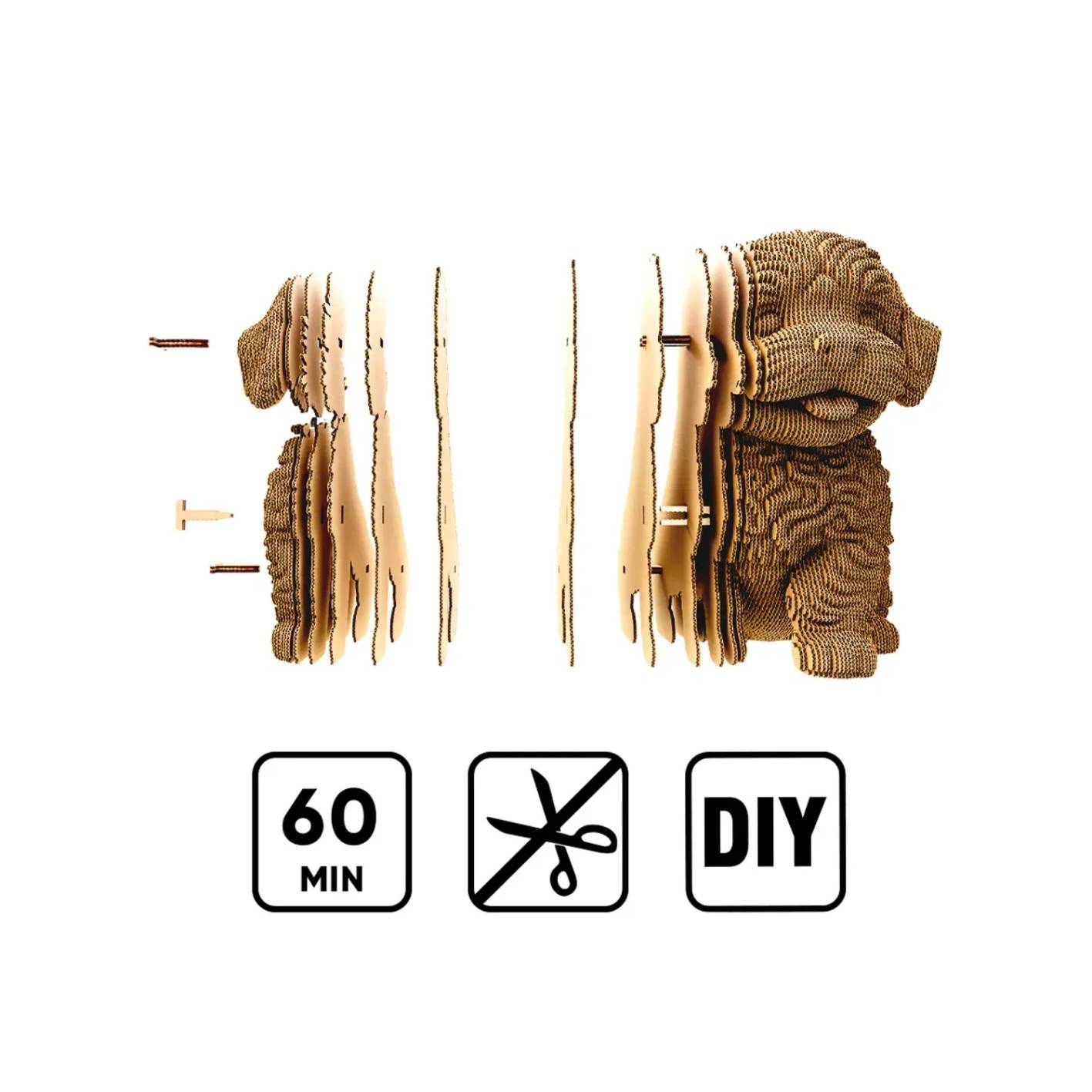 ערכת קרטוניק להרכבה - כלב מלטיפו גדול CARTONIC – תמונה 5