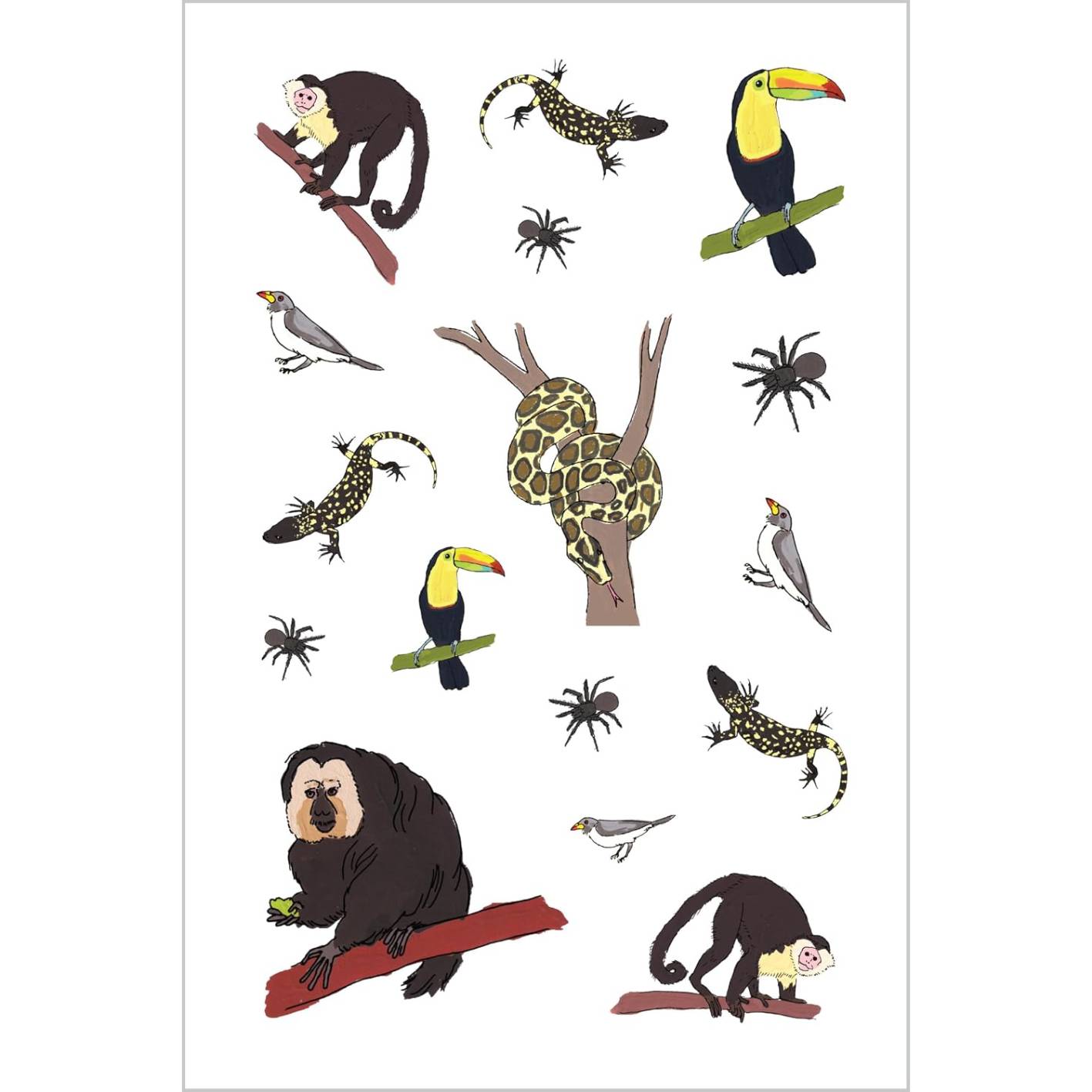 חוברת מדבקות - Wildlife Anatomy – תמונה 2
