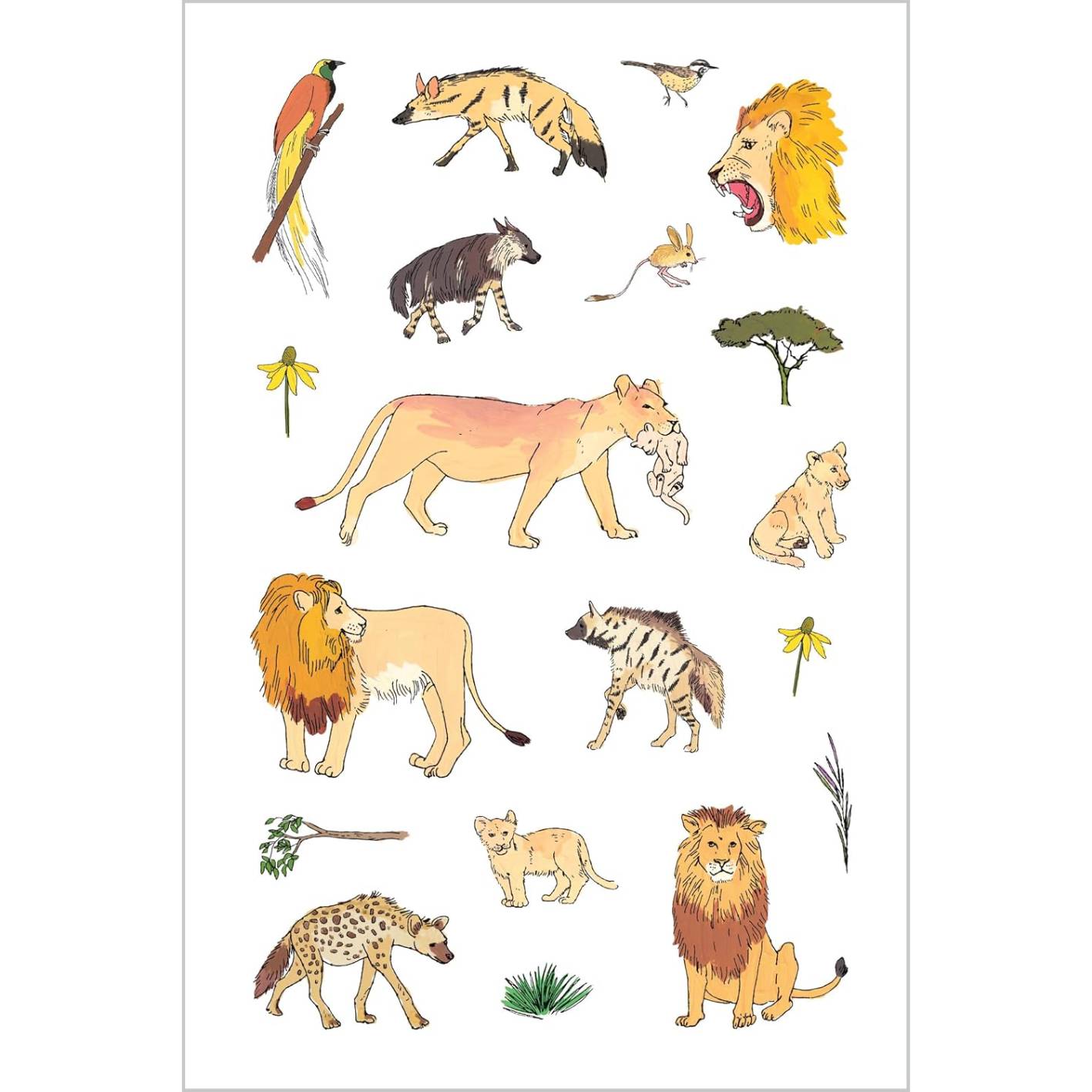 חוברת מדבקות - Wildlife Anatomy – תמונה 4